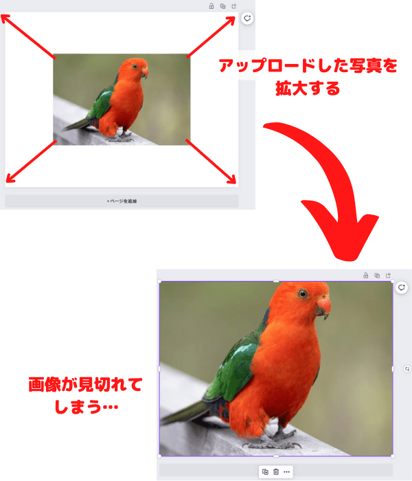 Canva使い方「画像をそのままのサイズで編集したい」